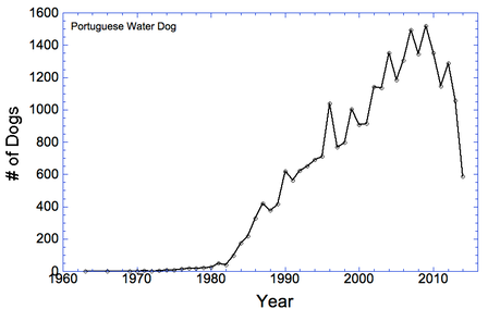 Portuguese Water Dog Size Chart