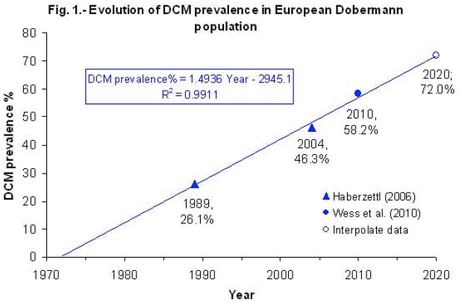 European Doberman Growth Chart