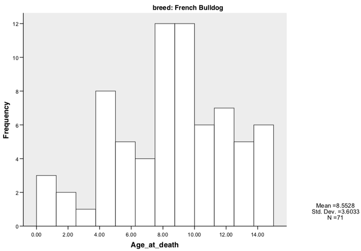 French Bulldog Age Chart